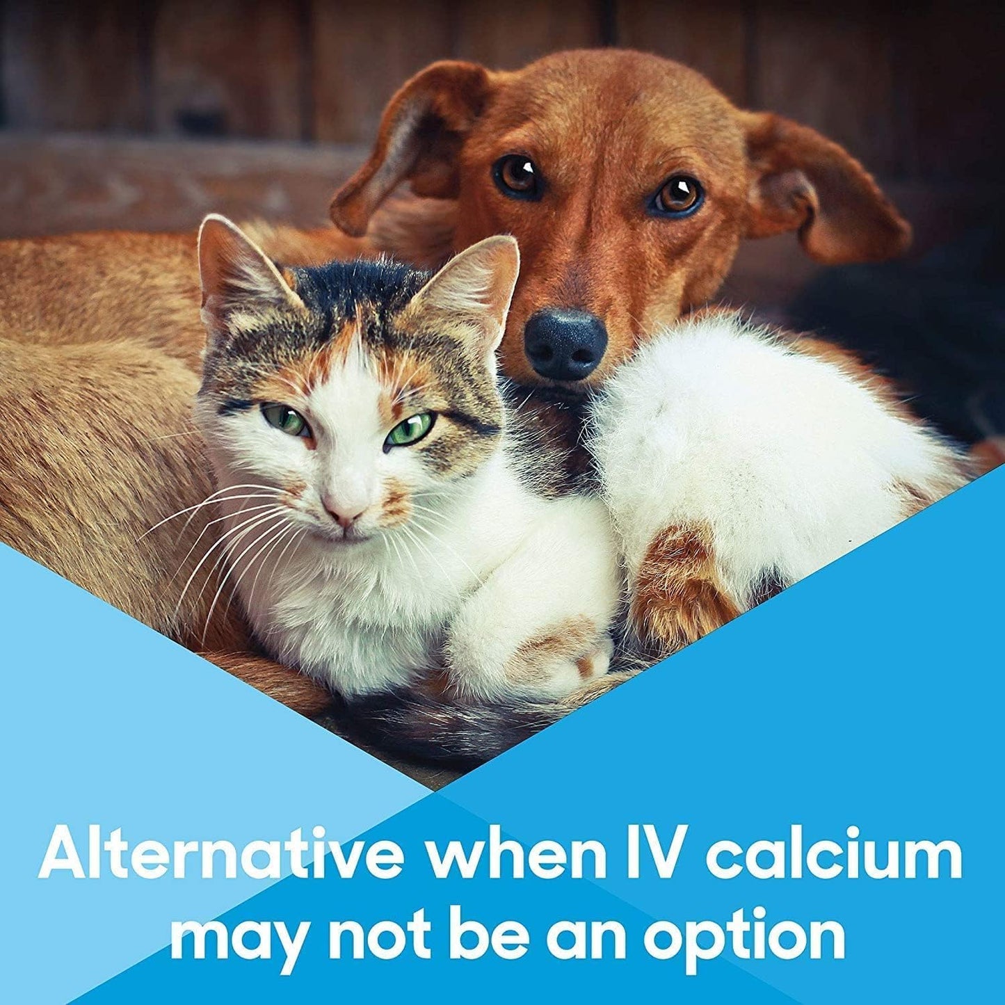 Whelping Dogs Oral Calcium Supplement Paste - Lots of Love Pet Products (Vanilla, 30ml, Pack of 2)