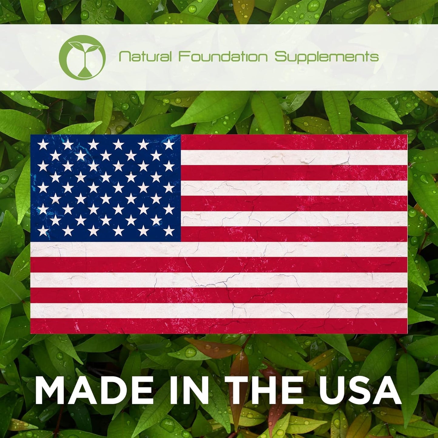 Whey Protein Powder Cookies & Cream Flavor for Muscle Growth & Recovery - 28 Servings, Isolate, Concentrate, Hydrolysate Blend - 2.2lbs