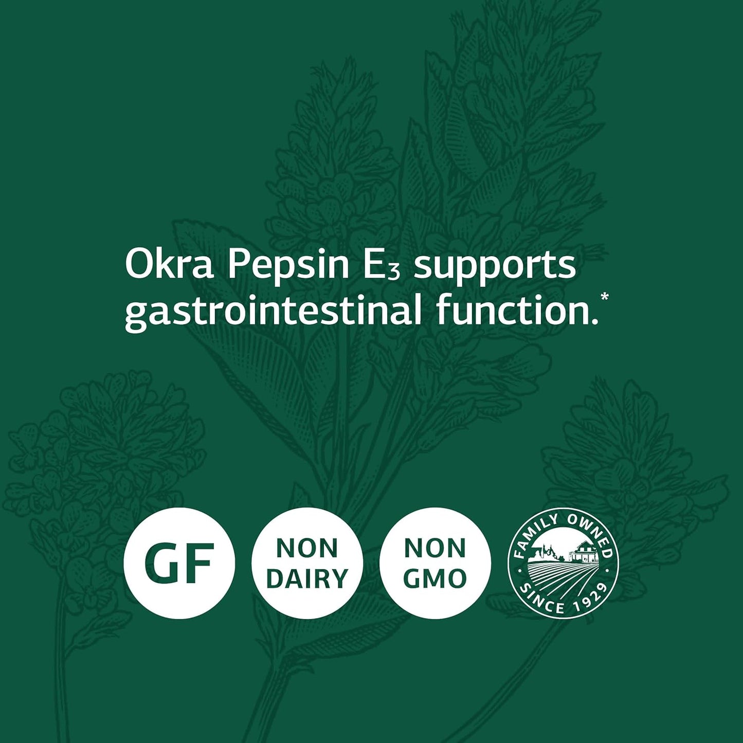 Whole Food Digestion Supplement with Okra, Pepsin, and Alfalfa for Digestive Health - Gluten Free 150 Capsules by Standard Process Inc.