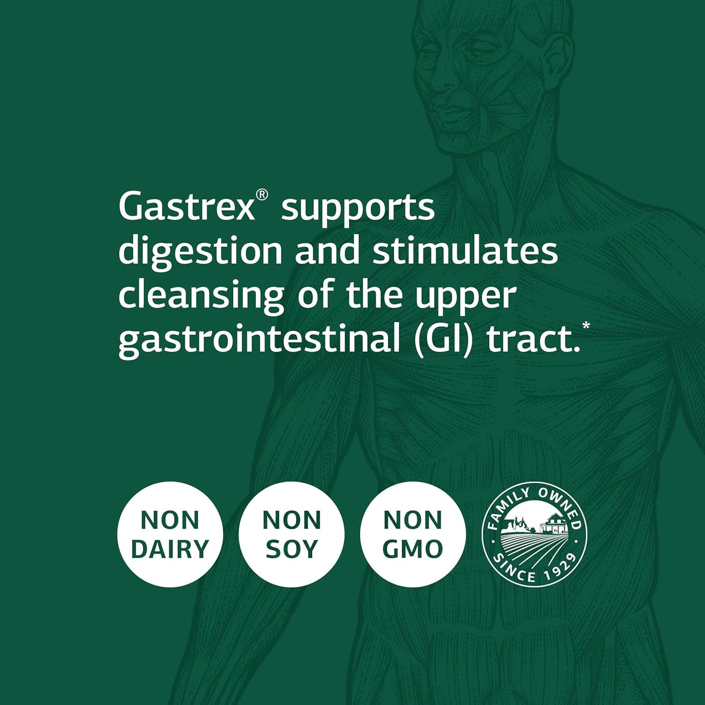 Whole Food Digestion Support Supplement with Oat Straw, Choline, Calcium, Anise, Spanish Moss, Vitamin C, Wheat Germ - 90 Capsules by Standard Process Inc.