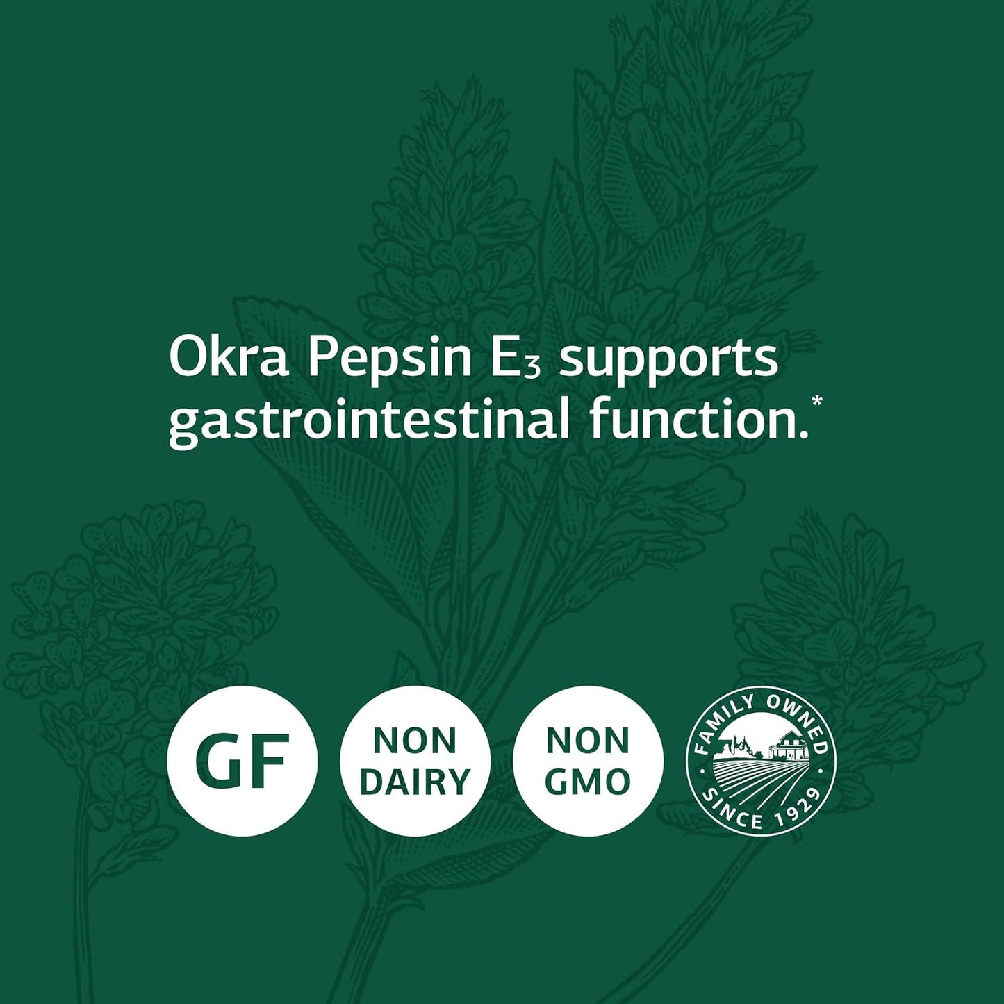 Whole Food Digestion Support Supplement with Okra, Pepsin, Alfalfa, and Buckwheat - 90 Capsules - Gluten Free - Standard Process Inc.