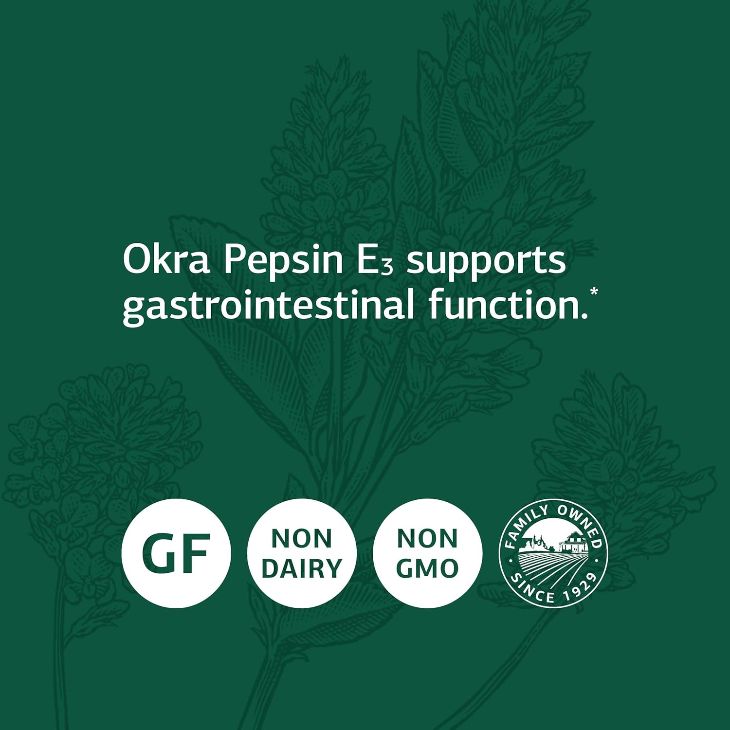 Whole Food Digestion Support Supplement with Okra, Pepsin, Alfalfa, and Buckwheat - 90 Capsules - Gluten Free - Standard Process Inc.