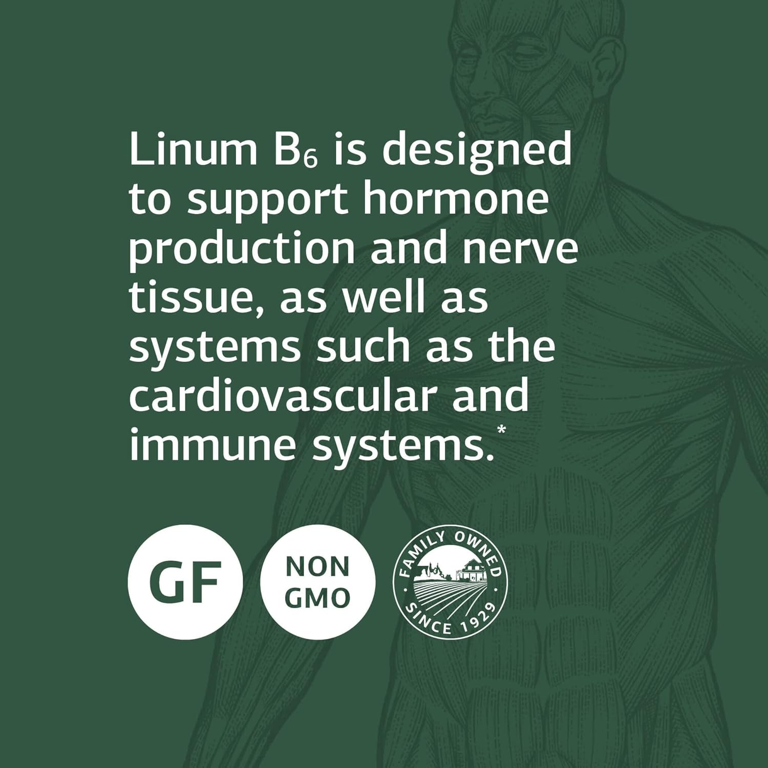 Whole Food Linum B6 Softgels for Hormone, Brain, Heart, and Skin Health - Flaxseed Oil, Vitamin B6 - 120 Capsules