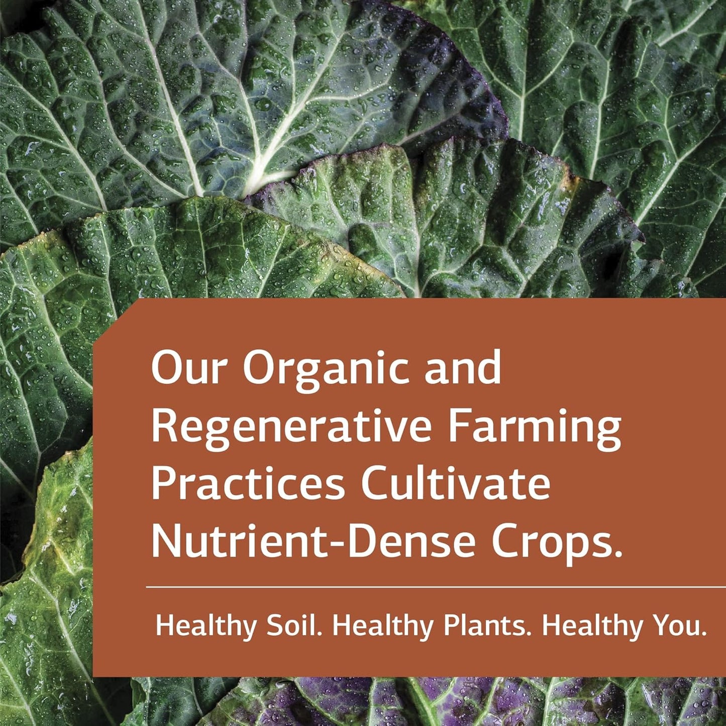 Whole Food Linum B6 Softgels for Hormone, Brain, Heart, and Skin Health - Flaxseed Oil, Vitamin B6 - 120 Capsules