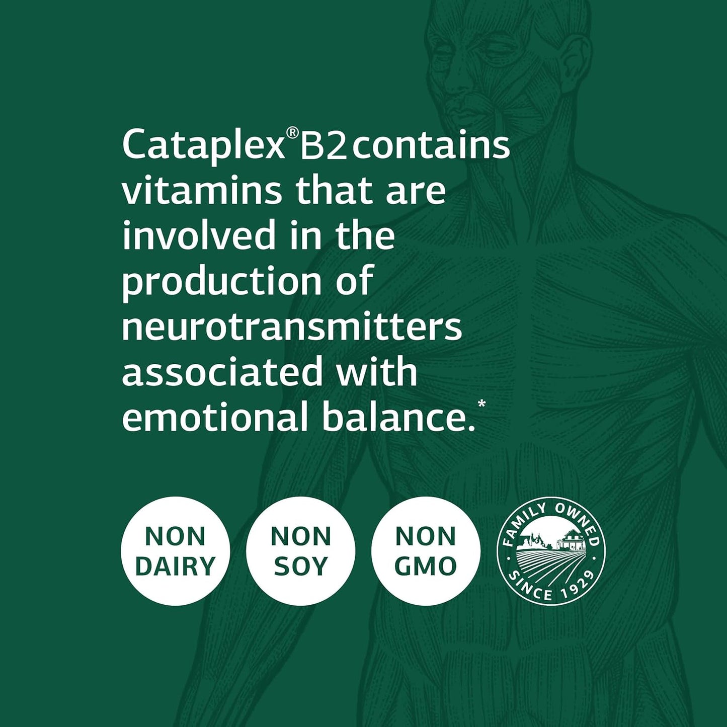Whole Food Nervous System Support with Standard Process Cataplex B2 - Metabolism and Brain Supplement - 90 Tablets