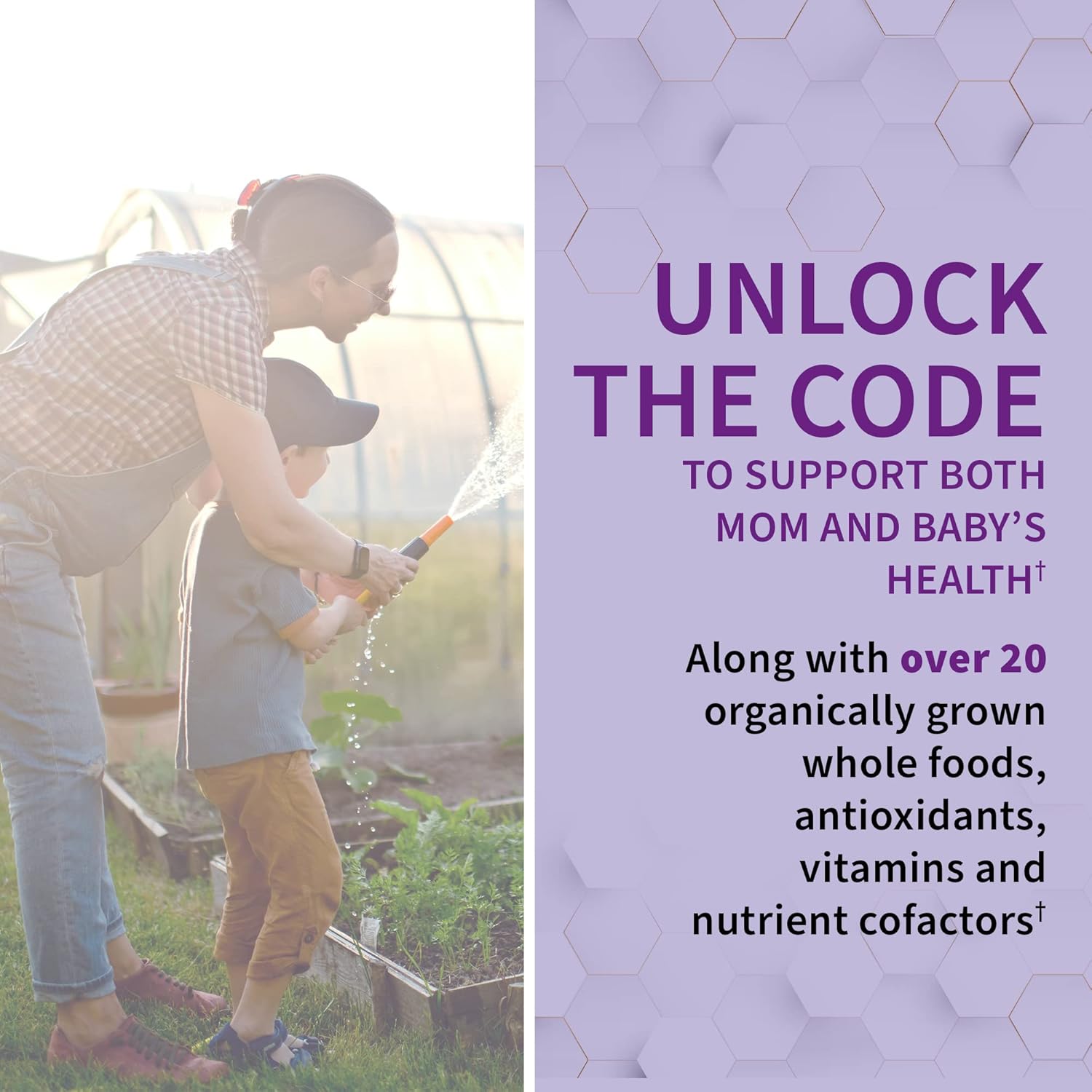 Whole Foods Garden of Life Prenatal Multivitamin with Biotin, Iron & Folate - Probiotics for Immune Support - Raw Pregnancy Essential - 90 Capsules