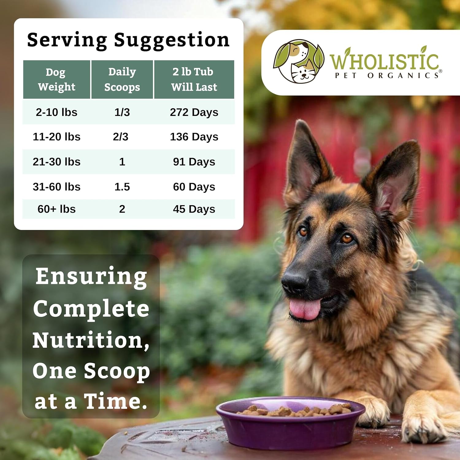Wholistic Pet Organics Canine Complete Dog Multivitamin Powder - 2 Lb - Immune System & Health Support for Dogs
