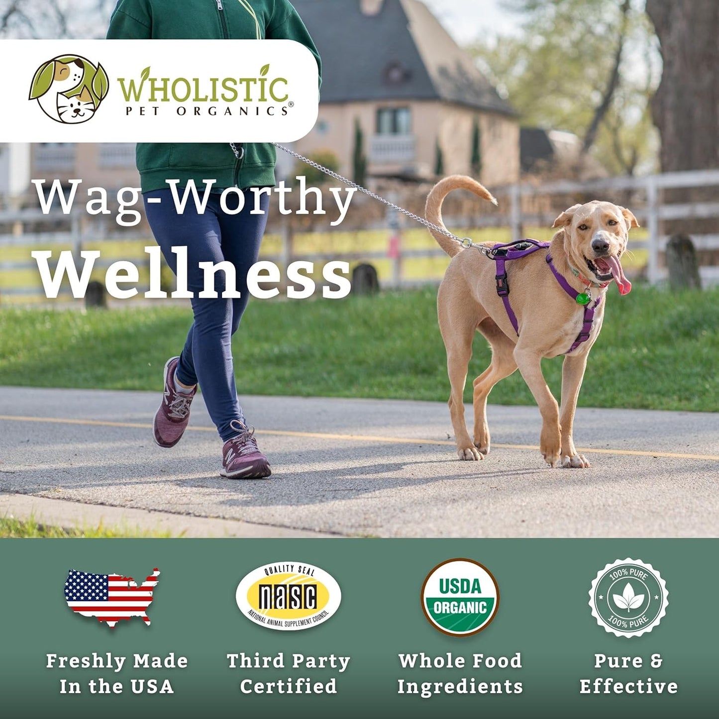 Wholistic Pet Organics Canine Complete Dog Multivitamin Powder - 2 Lb - Immune System & Health Support for Dogs