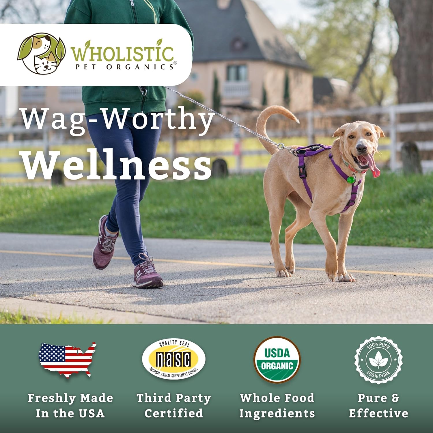 Wholistic Pet Organics Canine Complete Dog Multivitamin Powder - 2 Lb - Immune System & Health Support for Dogs