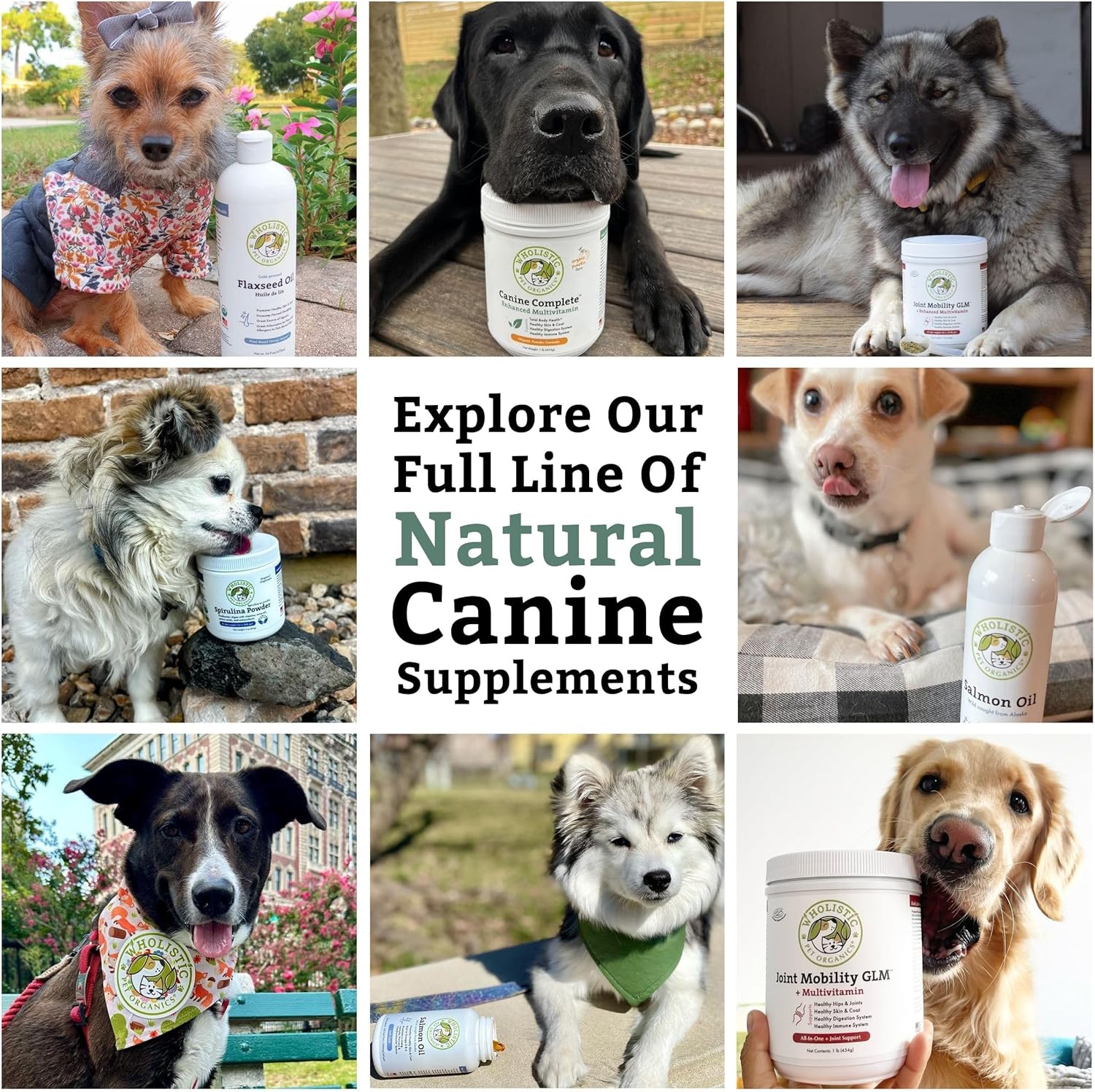 Wholistic Pet Organics Canine Complete Dog Multivitamin Powder - 2 Lb - Immune System & Health Support for Dogs