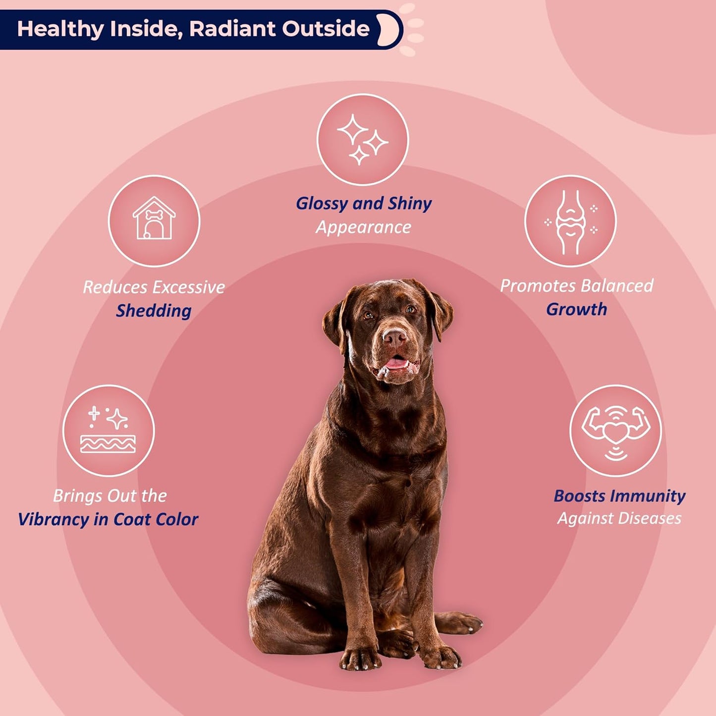 Wild Alaskan Salmon Oil Omega-3 Supplement for Dogs & Cats - 32 oz - Promotes Skin, Coat, Brain, Eye & Heart Health