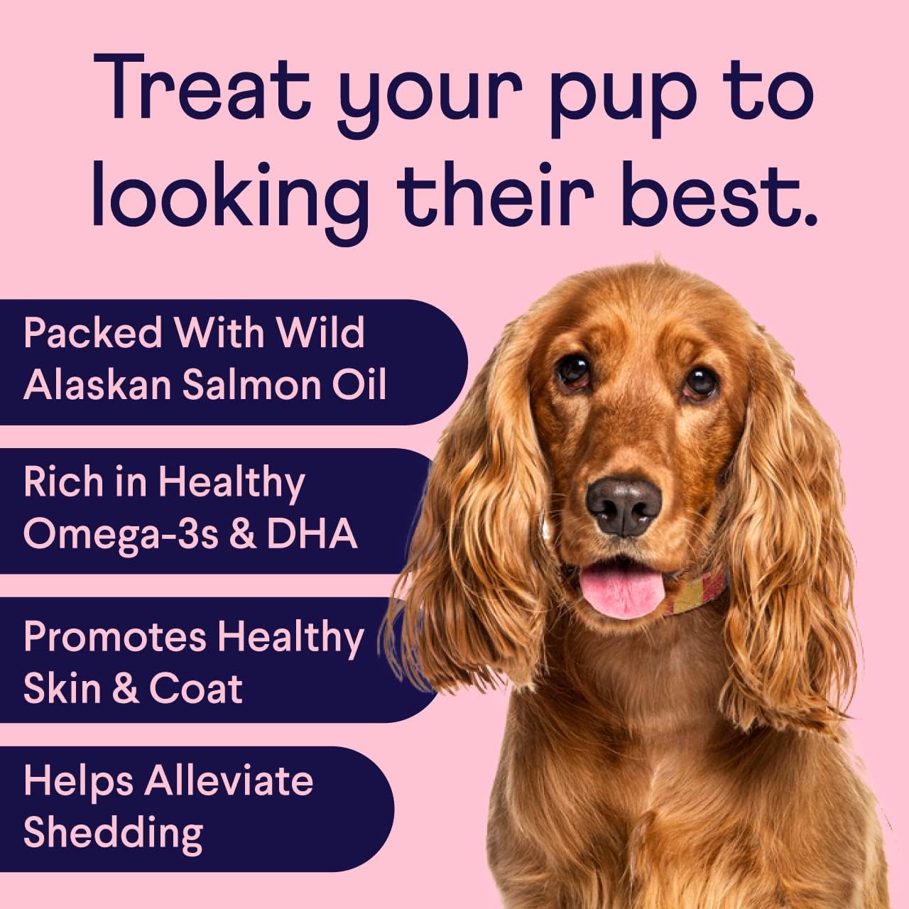 Wild Alaskan Salmon Oil Soft Chews for Dogs | Promotes Healthy Skin & Coat | Omega-3s, EPA & DHA, Biotin, Zinc | 90 Chews