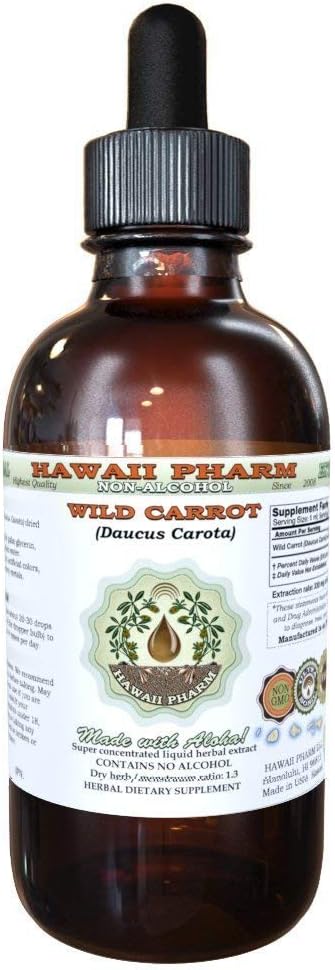 Wild Carrot Alcohol-Free Liquid Extract - Daucus Carota Dried Seed Glycerite Herbal Supplement 2oz by Hawaii Pharm