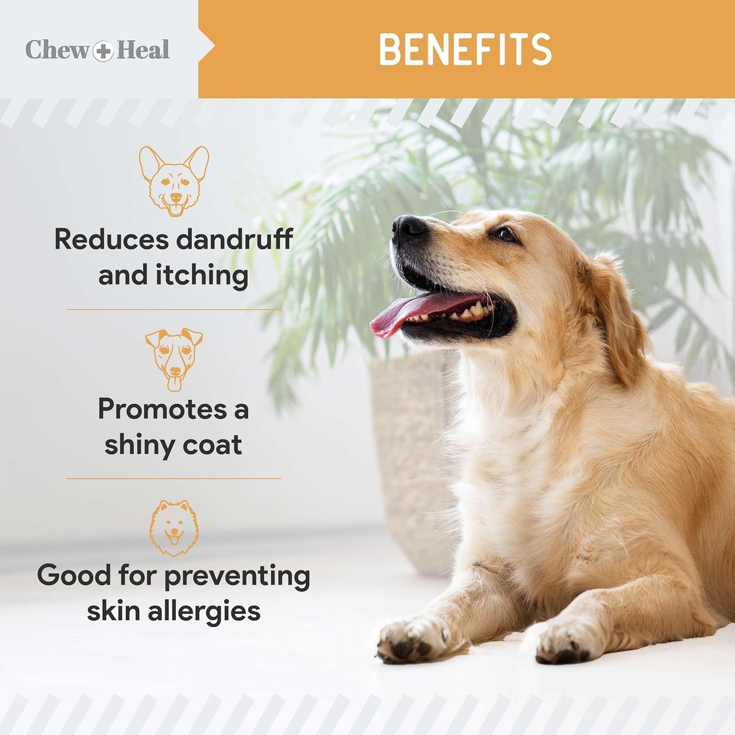 Wild Caught Omega 3 Fish Oil Softgel Capsules for Dogs - 180 Pills for Healthy Skin and Coat - 1000mg Dog Fish Oil for Shedding and Itching