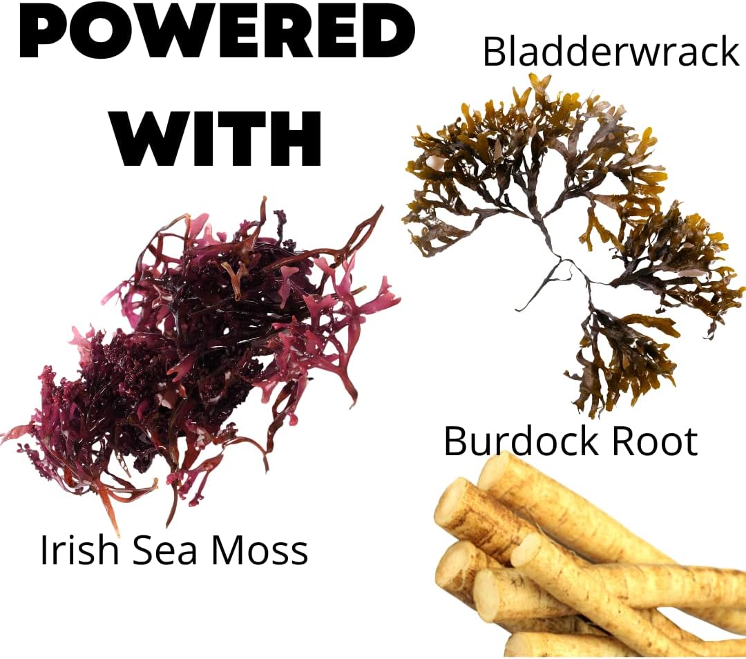 Wild Crafted Irish Sea Moss Gummies with Bladderwrack & Burdock Root - Natural Vegan Multivitamin Gummies for Immune, Thyroid, Digestive, Gut Support - 60 Gummies