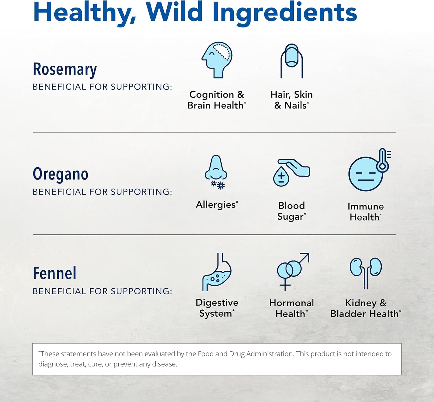 Wild Spice Oils Liver & Gallbladder Support Supplement - Non-GMO - 24 Servings - 1 fl. oz.