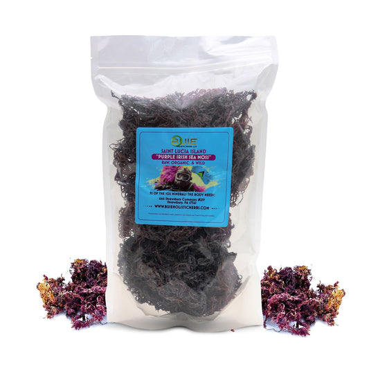 Wildcrafted Purple Irish Sea Moss Gel 240+ oz | Dr. Sebi Inspired Nutrient-Rich Raw Sun-Dried Irish Sea Moss 16 oz for Health & Wellness