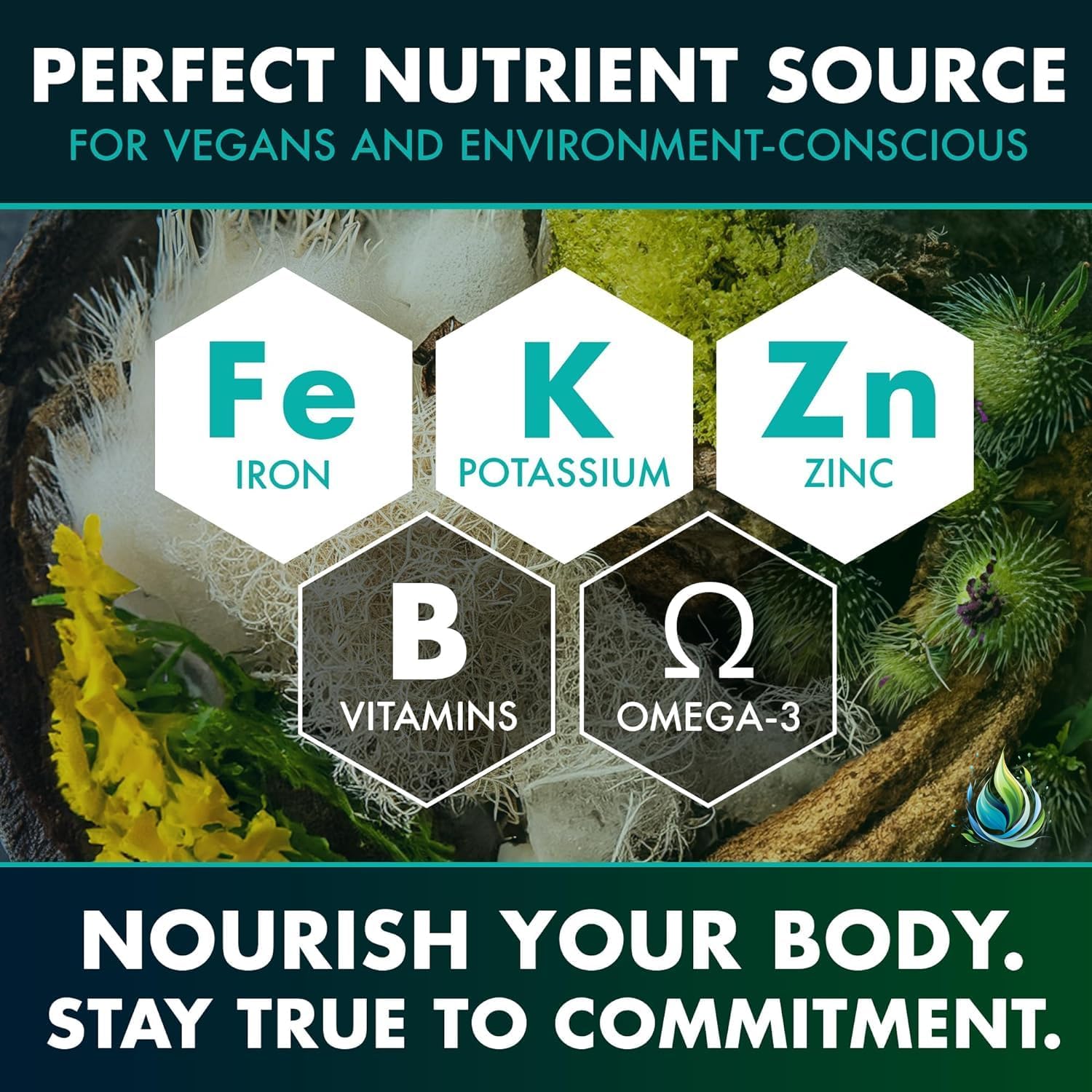 Wildcrafted Sea Moss Capsules with Bladderwrack & Burdock Root - 92 Essential Vitamins & Minerals for Immune Support, Anti-Aging - 120 Capsules, USA Quality