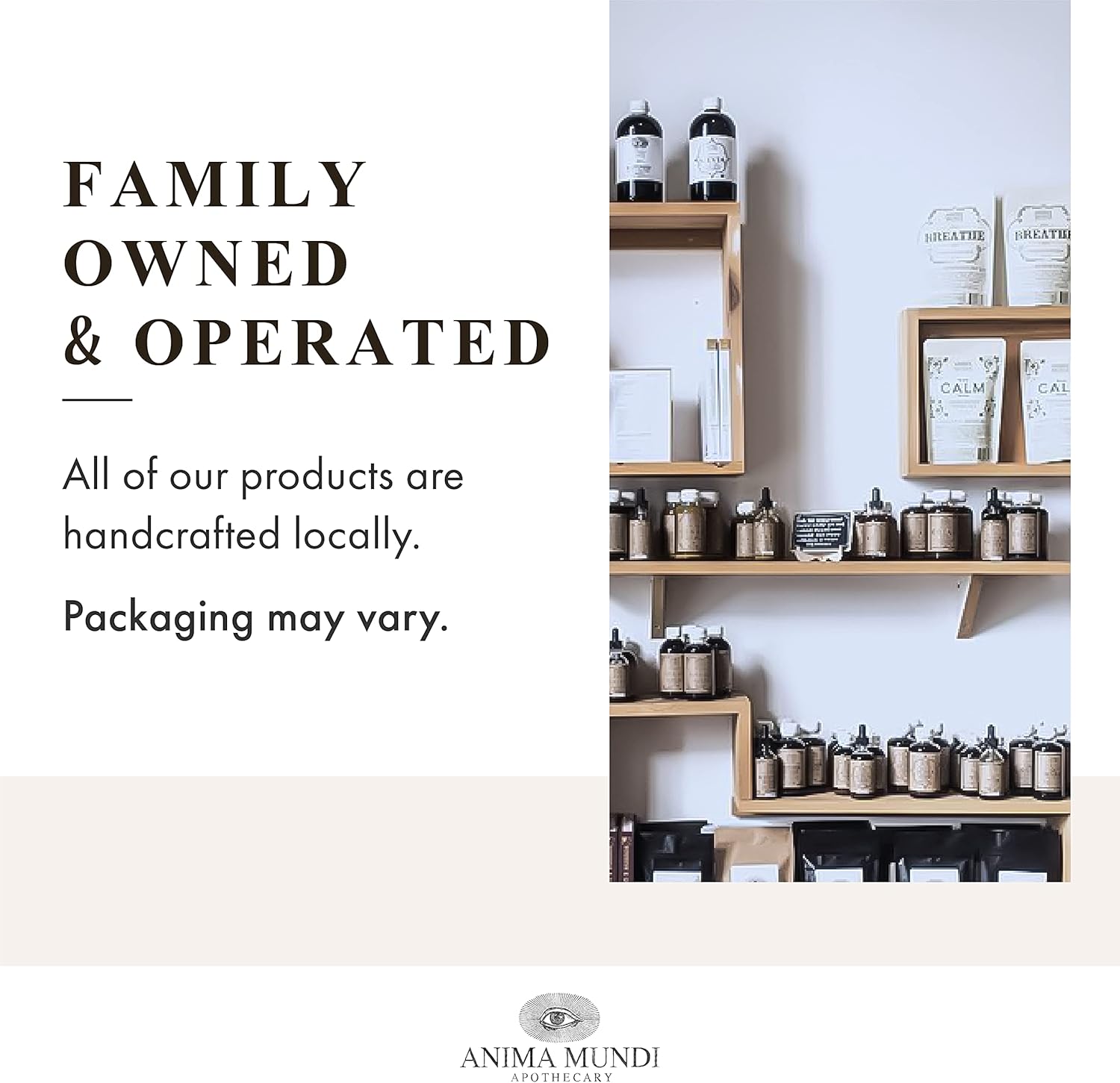 Wildcrafted Stone Breaker Chanca Piedra Powder for Tea - Liver, Gallbladder & Kidney Support - Anima Mundi Apothecary (4oz)