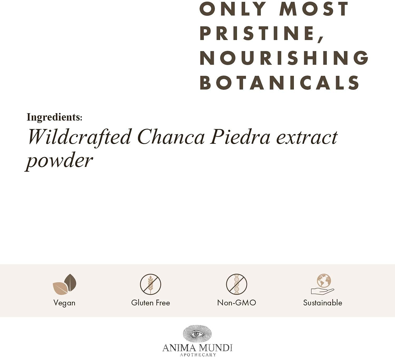 Wildcrafted Stone Breaker Chanca Piedra Powder for Tea - Liver, Gallbladder & Kidney Support - Anima Mundi Apothecary (4oz)