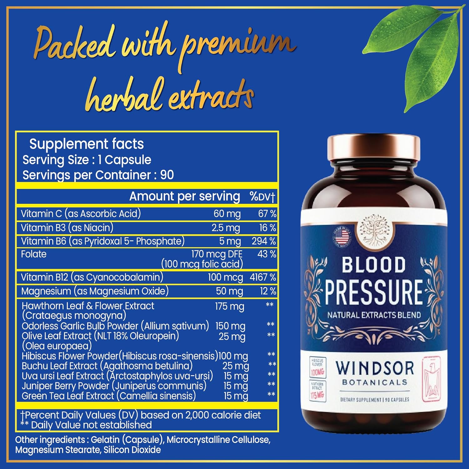 WINDSOR BOTANICALS Blood Pressure Support Supplement with Green Tea, Hibiscus, Hawthorn, Garlic - 90 Capsules, 3 Month Supply - Natural Blood Pressure Vitamin