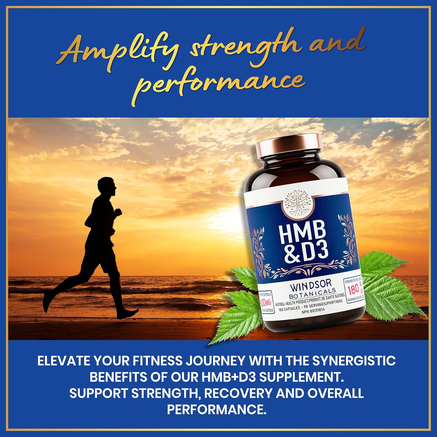Windsor Botanicals HMB and Vitamin D3 Supplement - 1,000mg HMB Capsules with Calcium - Muscle Growth for Men and Women - 90 Day Supply