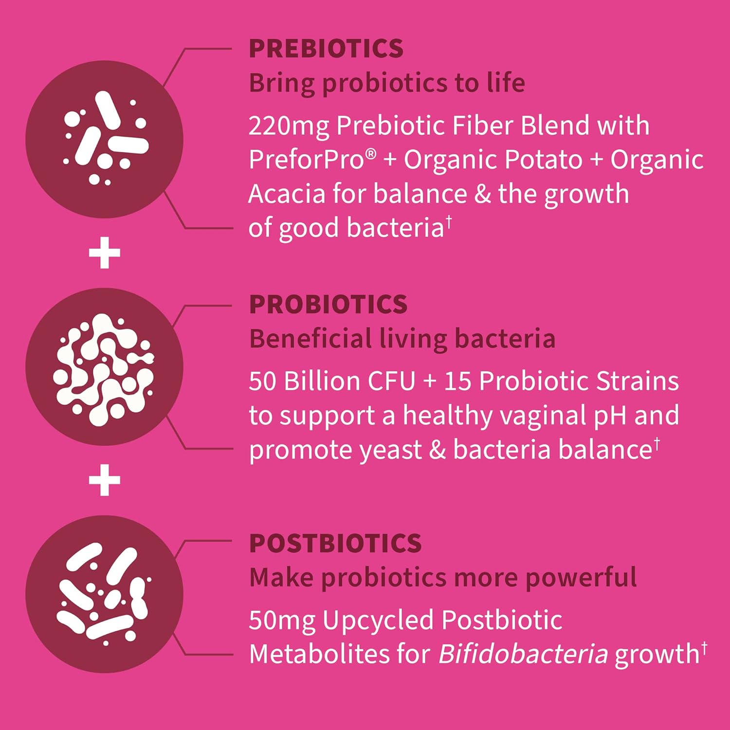 Women's 3-in-1 Pre, Pro, Postbiotic Supplement for Digestive & Vaginal Health - Garden of Life Dr Formulated (30 Day Supply)