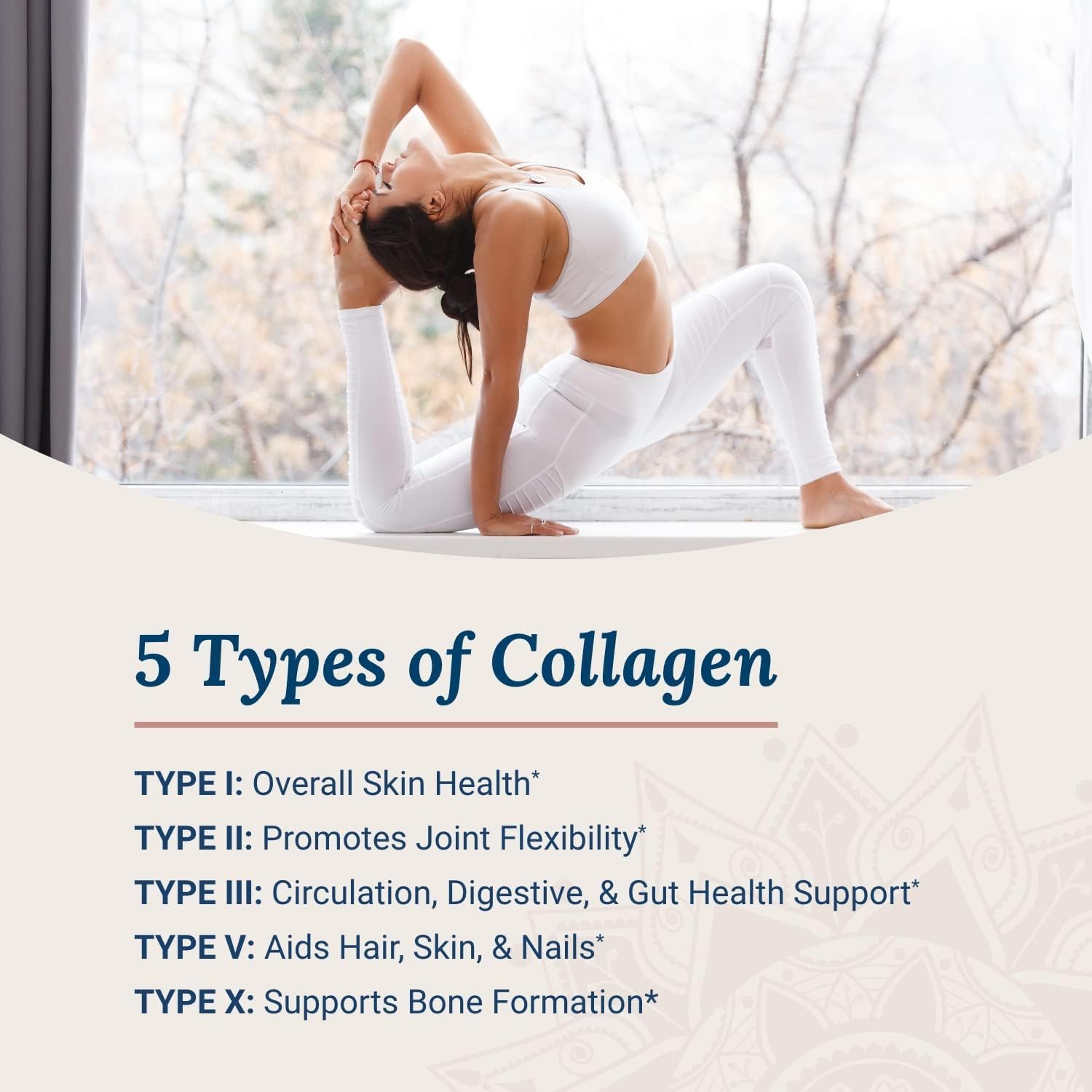 Women's Beyond Collagen Multi Collagen Powder - Types I, II, III, V & X, Keto Friendly with Biotin & Vitamin C - 41 Servings