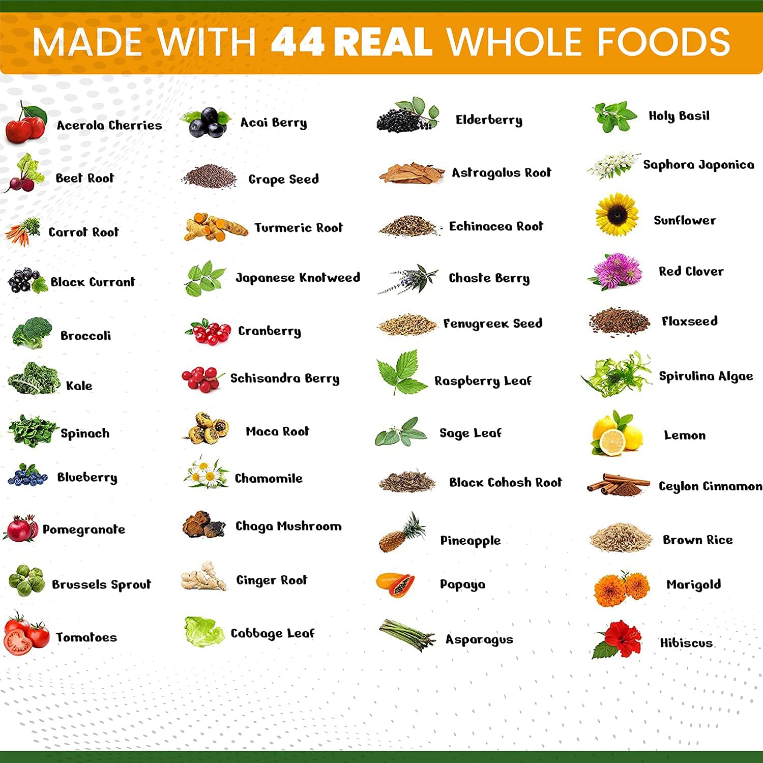Women's Daily Multivitamin with Iron - 44 Organic Whole Food Nutrients - Complete Multisystem Support - 90 Vegan Capsules