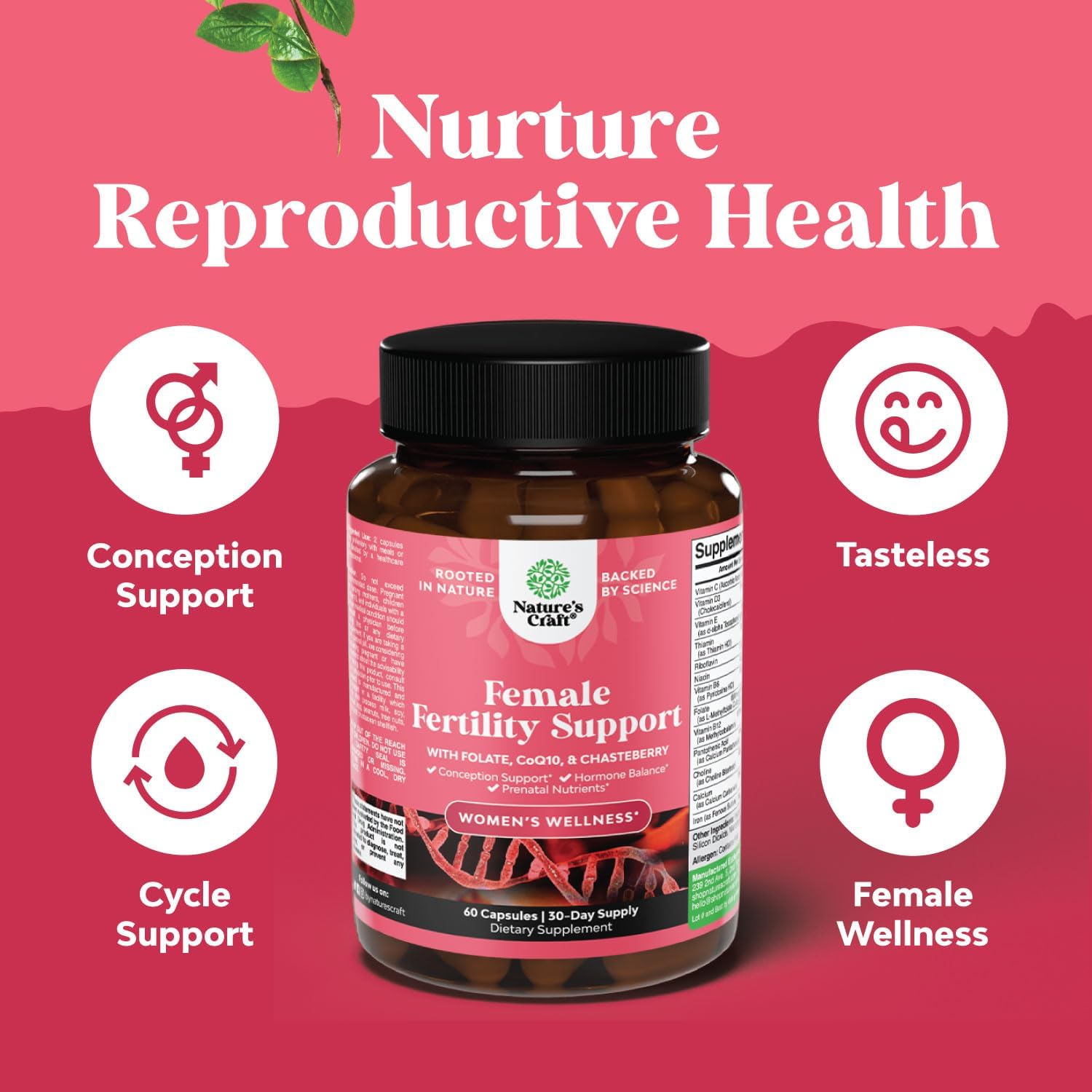 Women's Fertility Supplement with Prenatal Multivitamins - Female Support for Faster Conception with Choline, Inositol, Folate, Chasteberry, and CoQ10 Blend