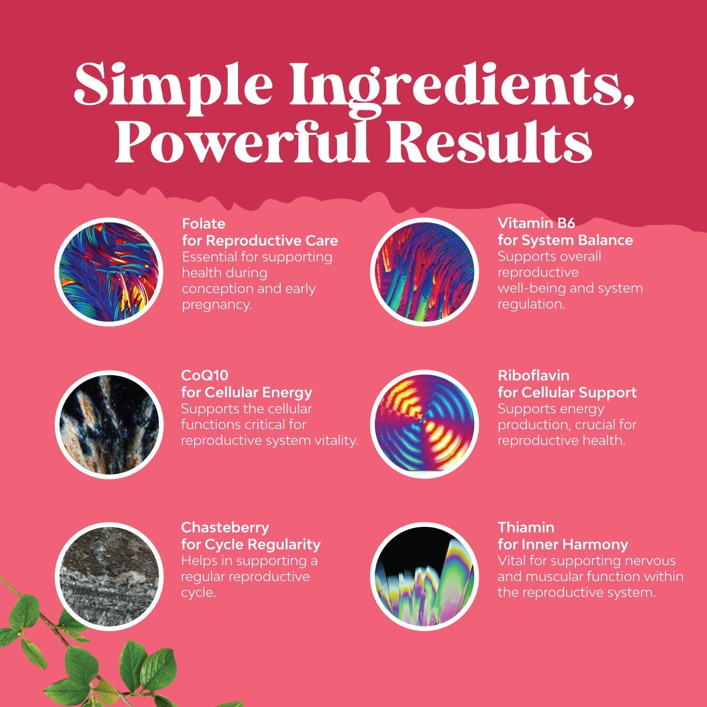 Women's Fertility Support Supplement with Prenatal Multivitamins - Herbal Blend for Faster Conception - Choline, Inositol, Folate, Chasteberry, CoQ10