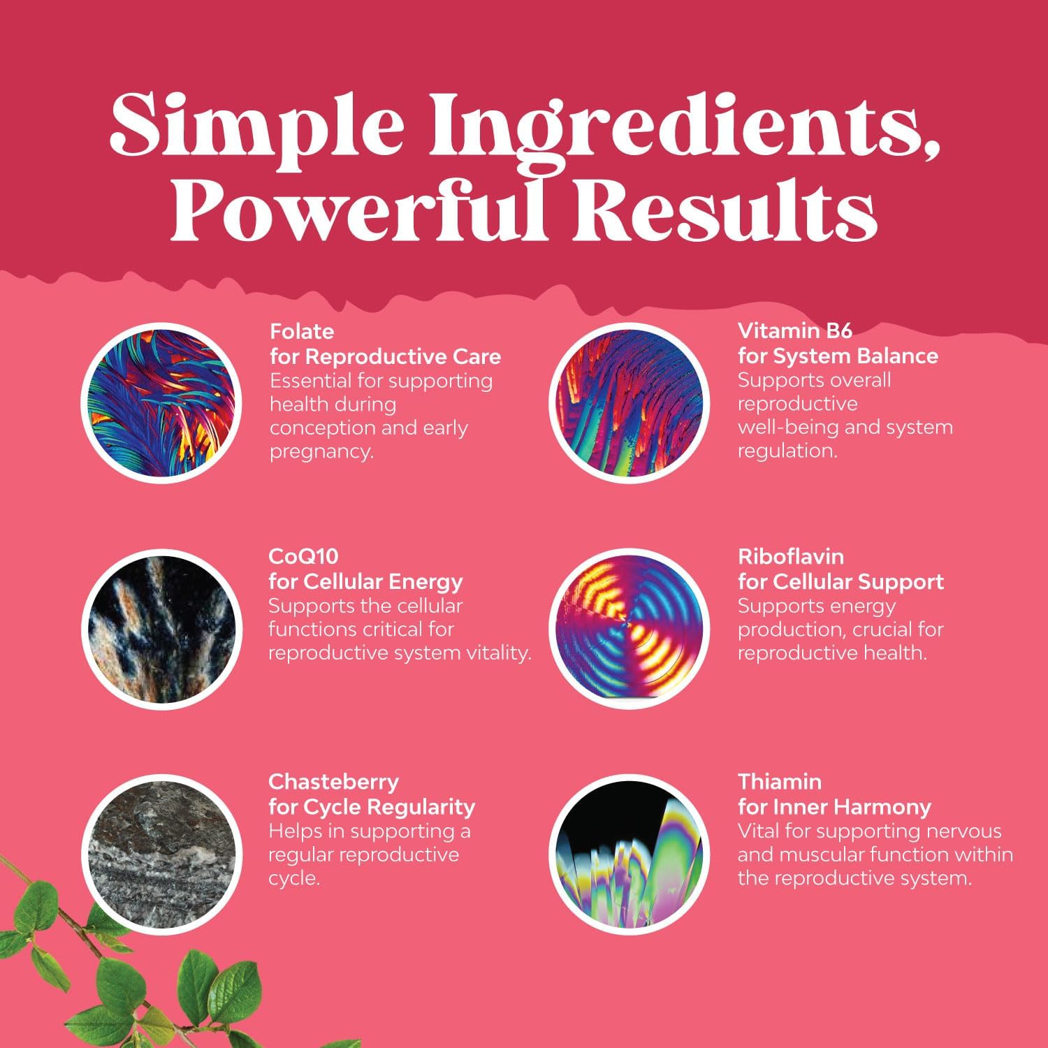 Women's Fertility Support Supplement with Prenatal Multivitamins - Herbal Blend for Faster Conception - Choline, Inositol, Folate, Chasteberry, CoQ10