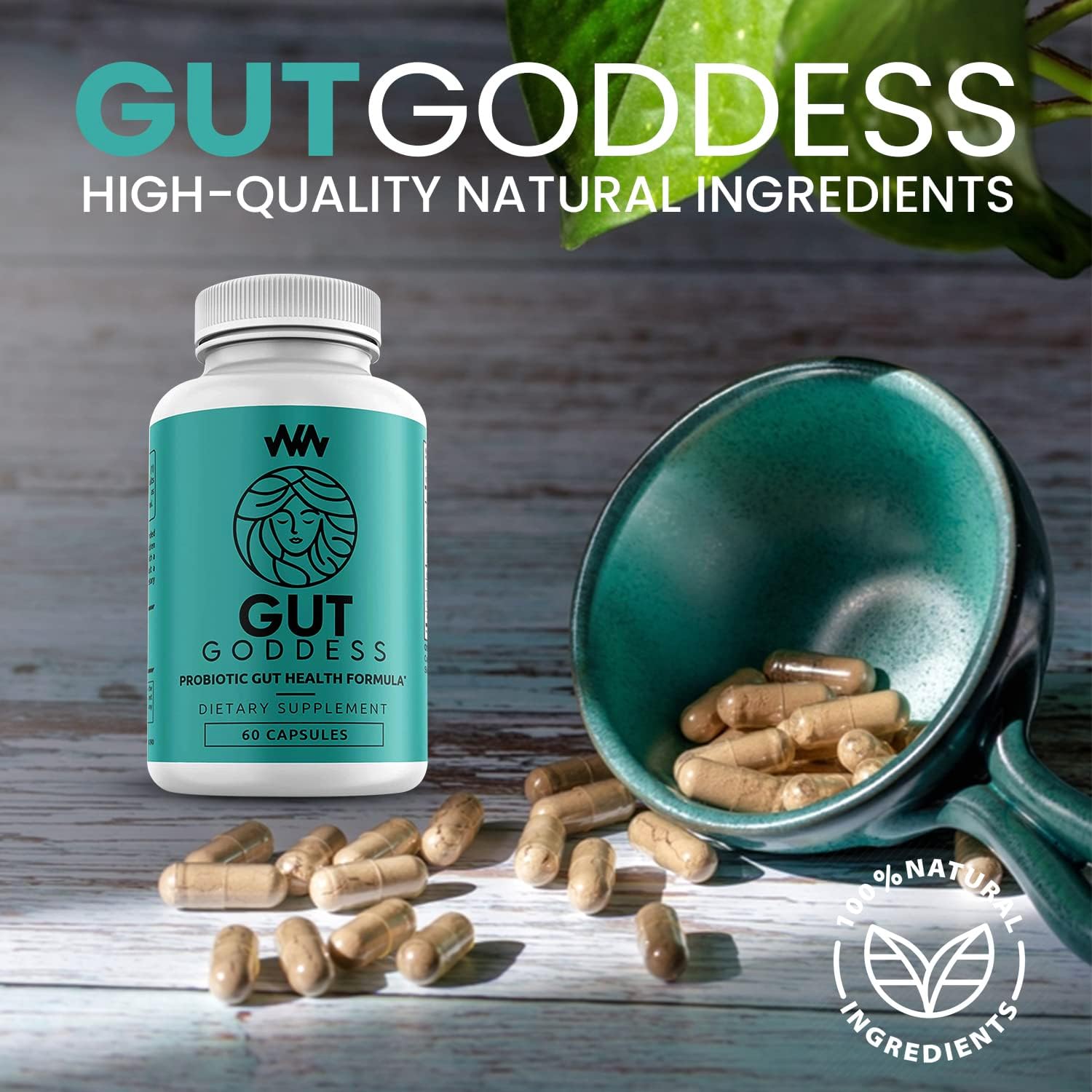 Women's Gut Health Support Supplement with Papain Enzyme - Female Probiotic Digestive Vitamin for Digestion Support by Warped Wellness