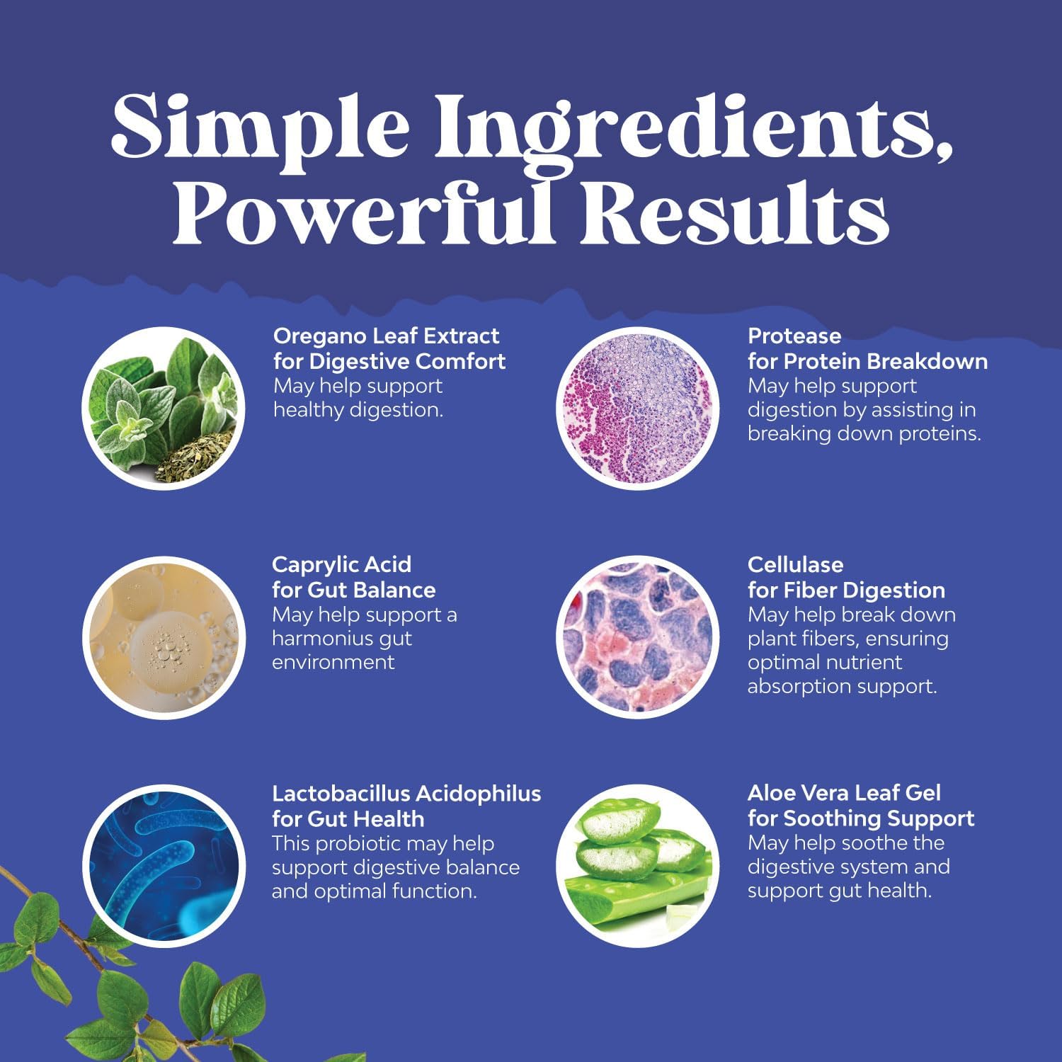 Women's Natures Craft Candi-Clear Full Body Cleanse Detox - Anti Overgrowth Gut Detox with Caprylic Acid, Black Walnut, Wormwood, and Oregano - Includes Pre and Probiotics