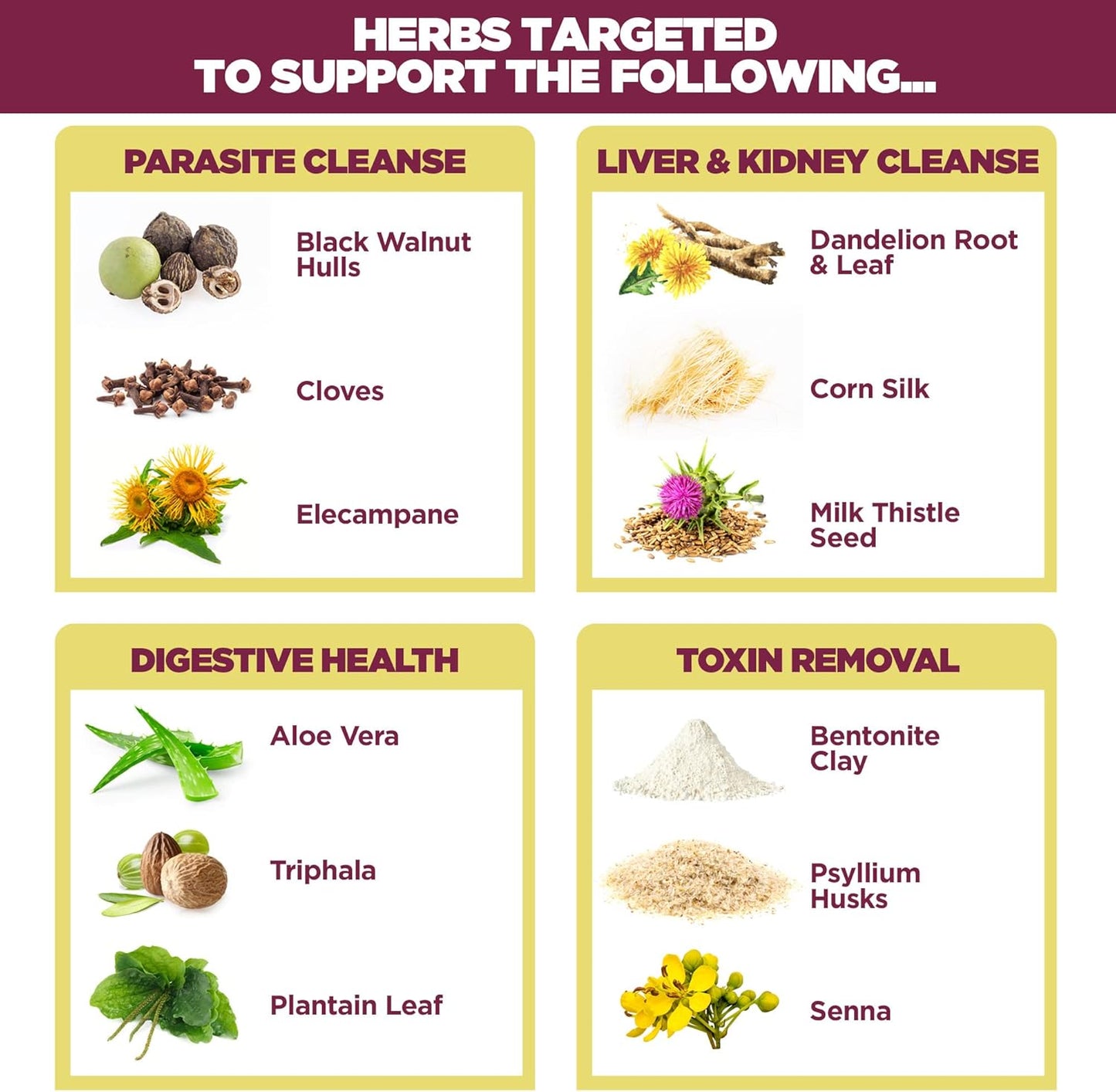 Women's Renew Internal Cleansing System - 30 Day Cleanse & Detox Kit for Female Herbal Support