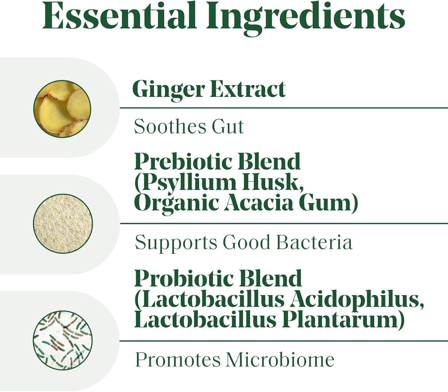 Women's Super Powered Prebiotic + Probiotic: 3-in-1 Formula for Gut Health, IBS Relief, Bloat Support, & Immunity Boost (60 ct)