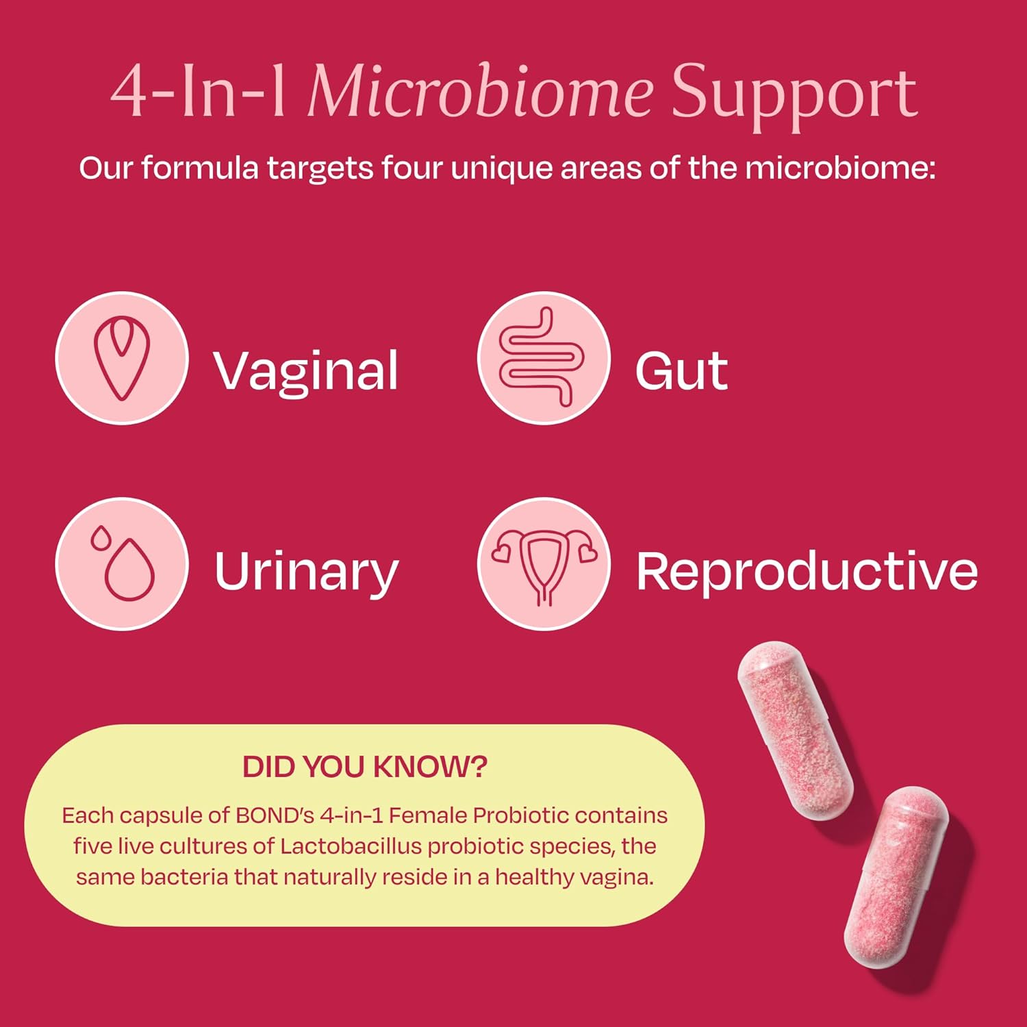 Women's Vaginal Probiotic with Lactobacillus, Cranberry, and Prebiotics - Supports Vaginal and Digestive Health - 60 Capsules