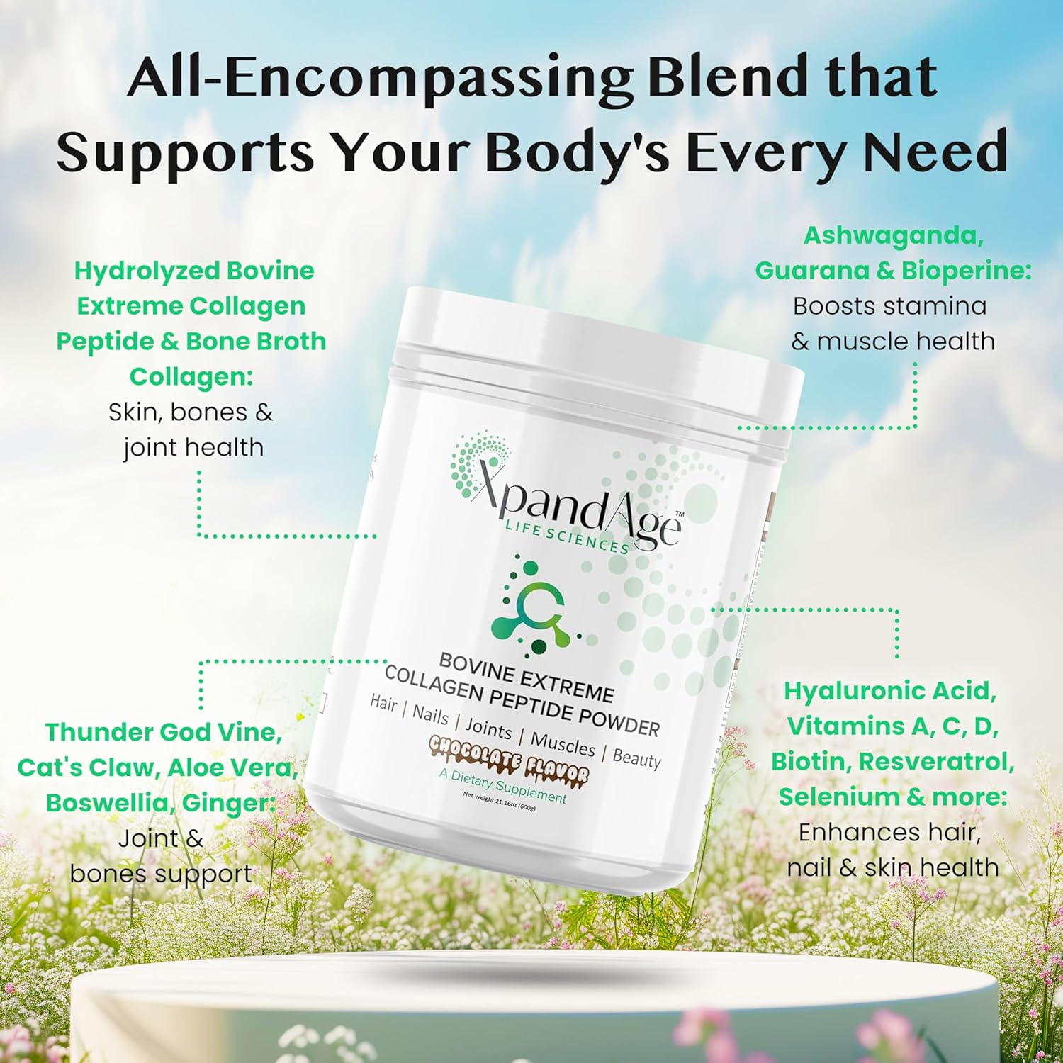 XpandAge Life Sciences Bovine Collagen Peptide Powder with Biotin, Pea, Guarana, and Safed Musli for Hair, Nails, Energy, Muscle, and Joint Health - Bitter Chocolate Flavor