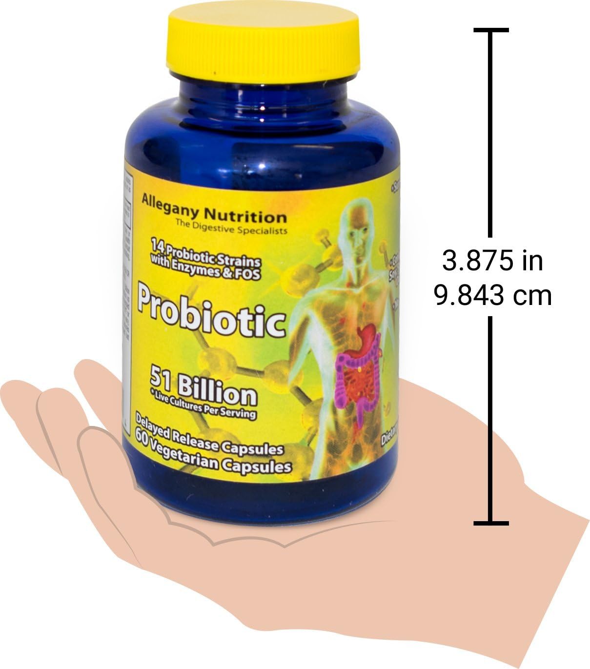 Yeegfey Probiotic Supplement with 60 Capsules - 51 Billion CFU for Gut Health and Digestive Support