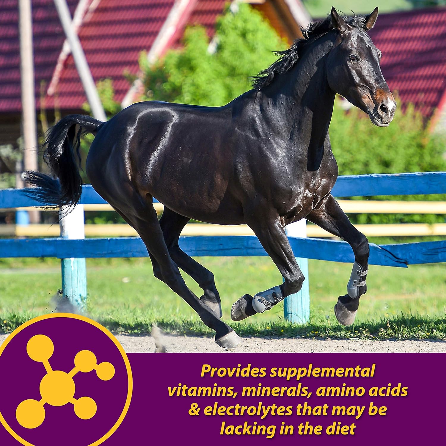 YFCACT Horse Health Maxum Crumbles Concentrated Feed Supplement - 25 lb - Provides Essential Nutrients for Equine Athletes
