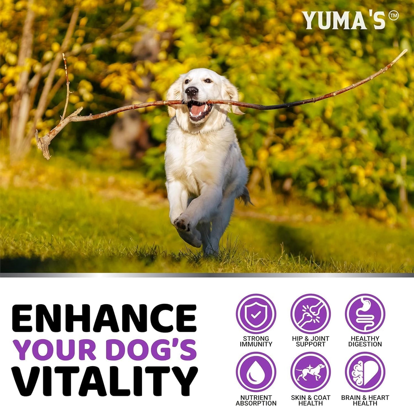 YUMA Dog Multivitamin Chewables 2-Pack with Glucosamine - Senior & Puppy Vitamins for Hip & Joint Support, Immune Health, Skin & Heart - Digestion & Probiotics included