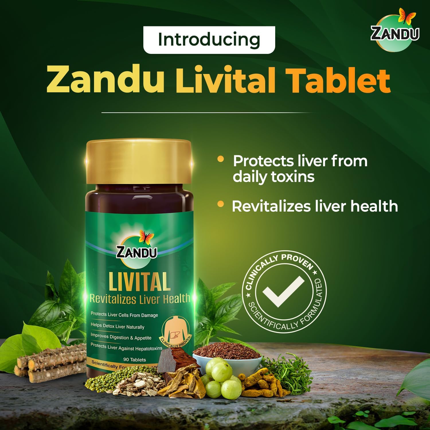 Zandu Livital Tablets: 100% Ayurvedic Ingredients for Liver Protection, Fatty Liver Relief, Digestion Support, and Detox - 60 Tablets
