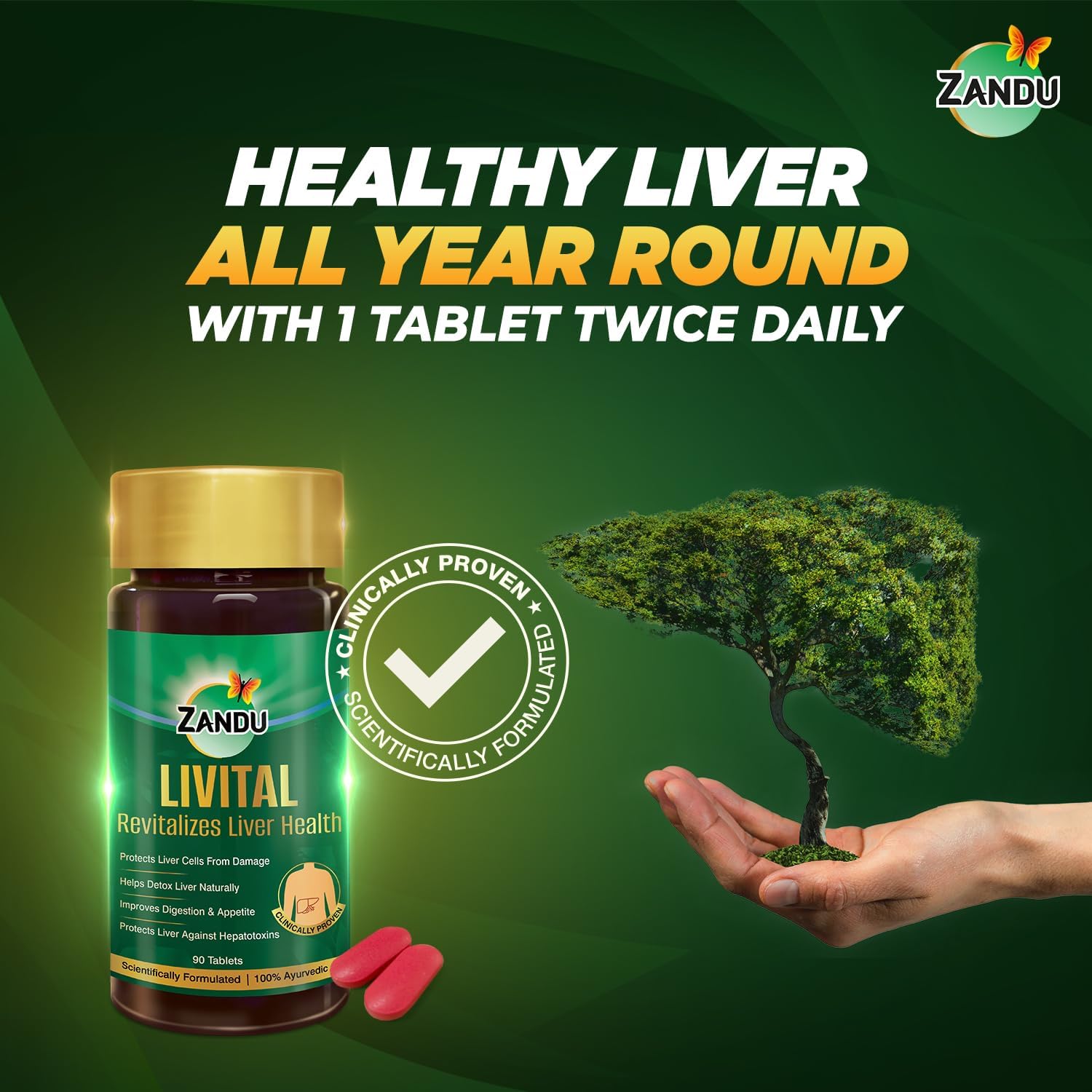 Zandu Livital Tablets: 100% Ayurvedic Ingredients for Liver Protection, Fatty Liver Relief, Digestion Support, and Detox - 60 Tablets