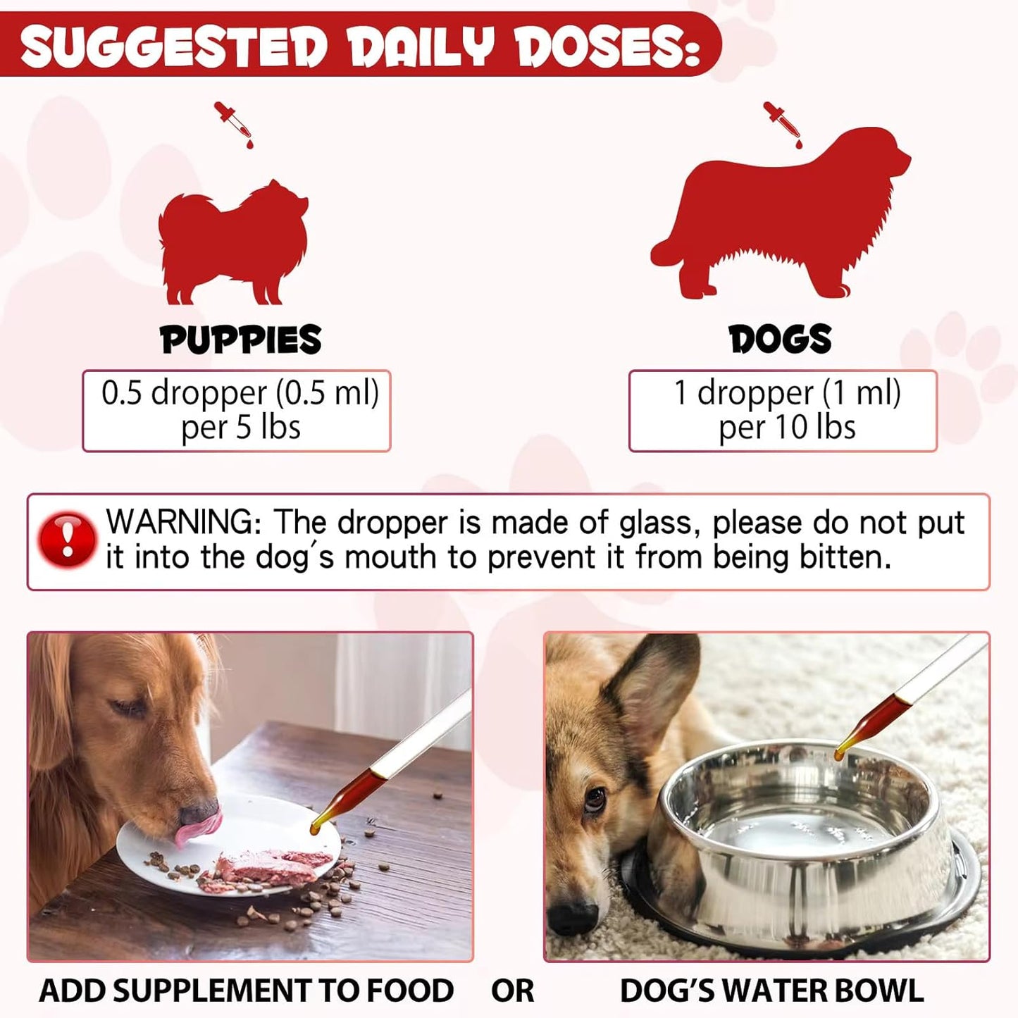 Zenpaws Liquid Iron Supplement for Dogs with Folate and B12 - Supports Anemia Treatment, Boosts Blood Health and Energy Levels - 2 oz