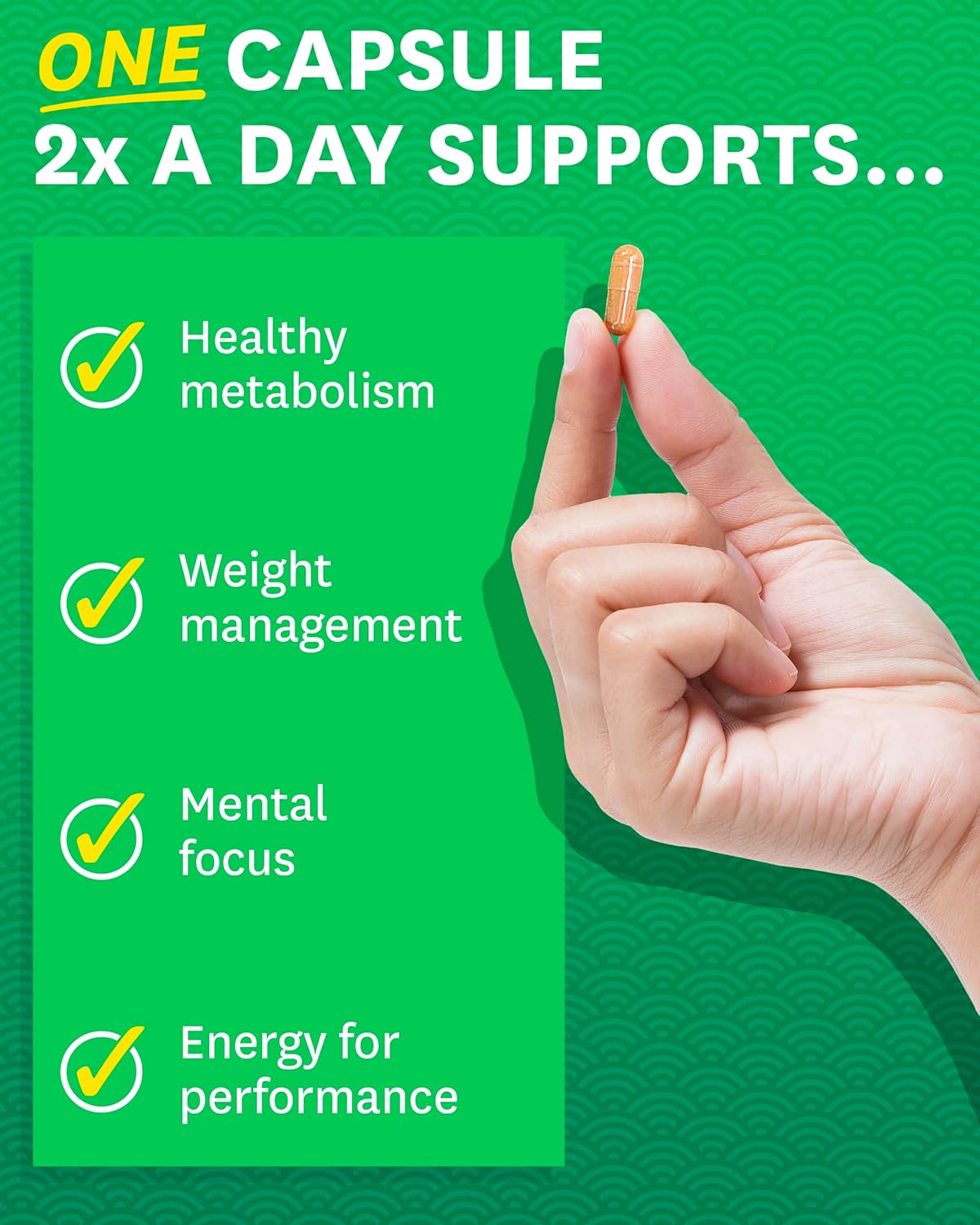 Zenwise Health EGCG Green Tea Extract Capsules - Supports Mental Focus, Immune Health, Antioxidants, Heart, Energy, and Metabolism - 120 Count