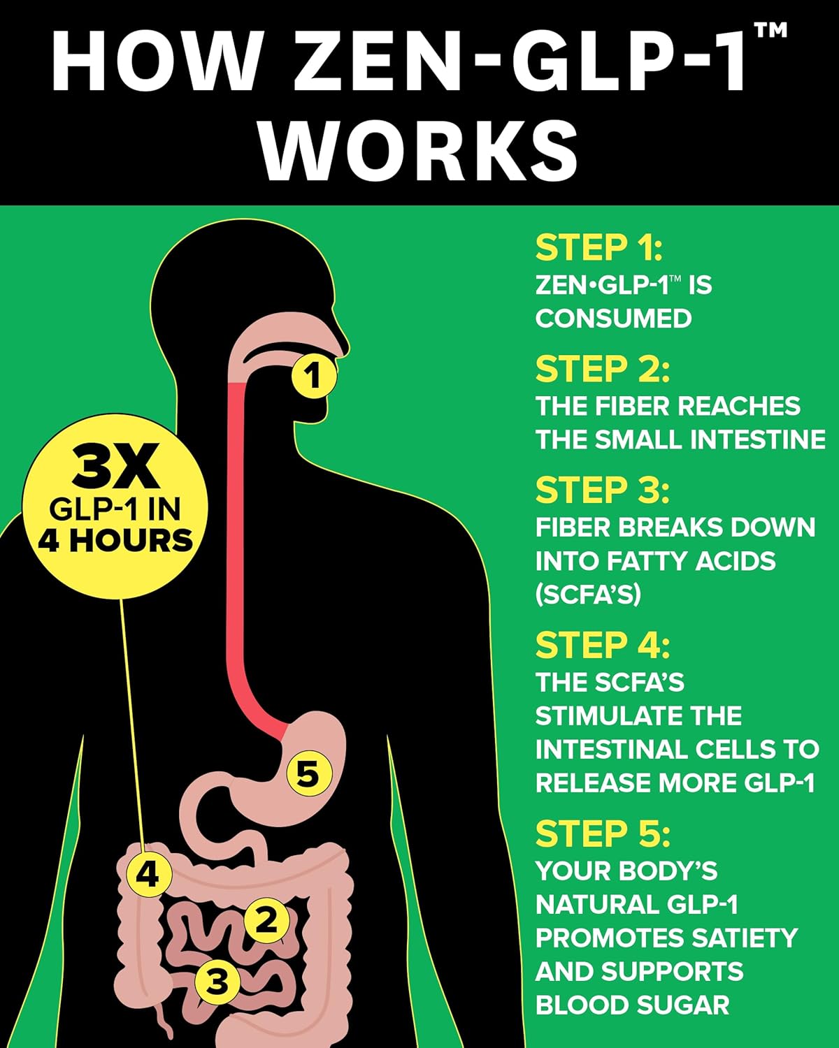 Zenwise Health ZenGLP-1™ - Natural Metabolic Probiotic with GLP-1 for Hunger Control & Digestive Health - 15-Day Supply