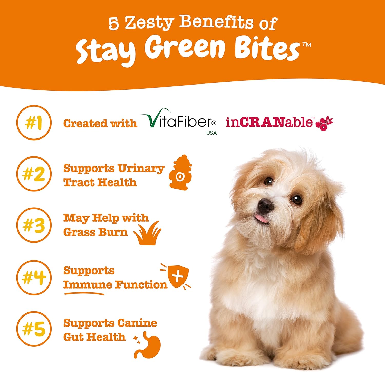 Zesty Paws Grass Burn Soft Chews for Dogs - Stay Green Bites with Cranberry - Chicken Flavor - 90 Count