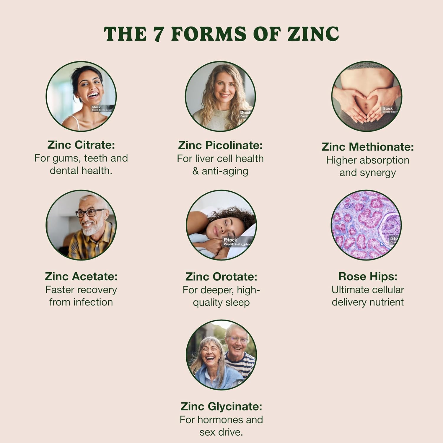 Zinc7 Advanced Daily Supplement for Immune System Boost, Sleep, Metabolism, Dental Health & Hormone Balance - 60 Capsules, 50mg Zinc