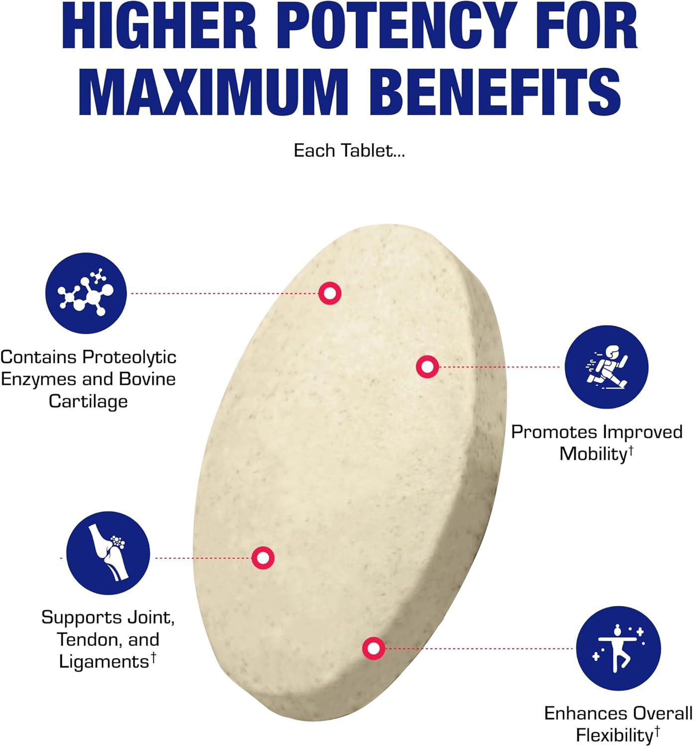 Zymain 90 Support - Clinical Joint Support Formula with Bovine Cartilage Minerals